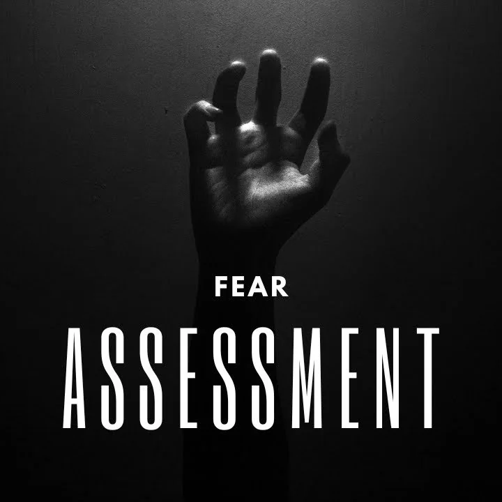Fearassessment