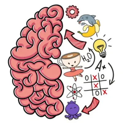 Brain Test